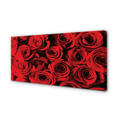 Canvas print Roses