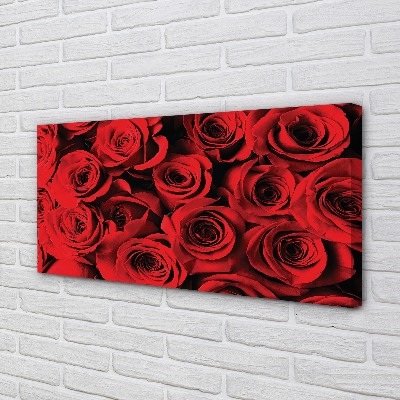 Canvas print Roses