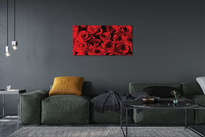 Canvas print Roses