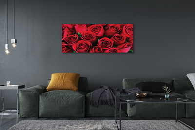 Canvas print Roses