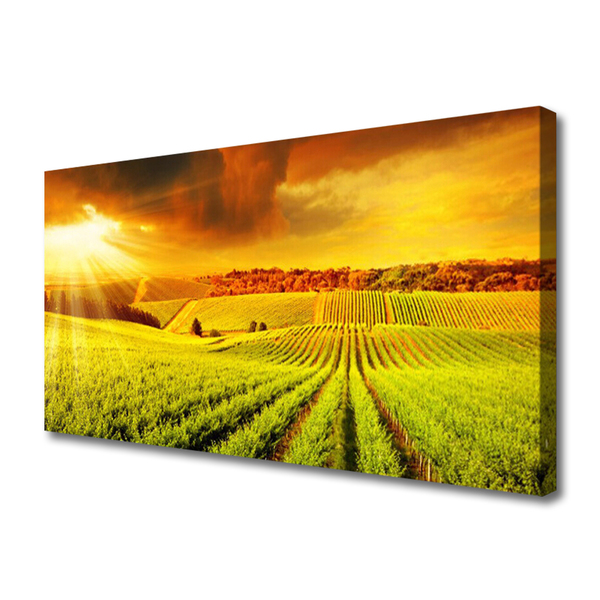 Canvas print Field sunset landscape green yellow
