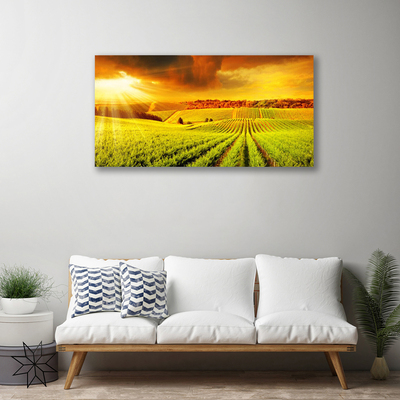 Canvas print Field sunset landscape green yellow