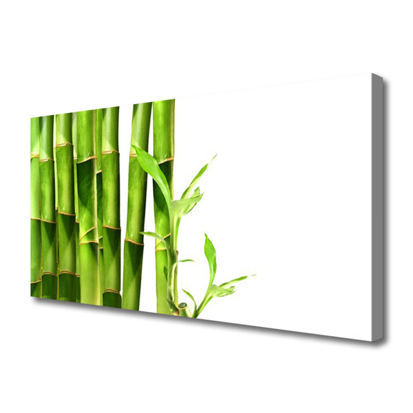 Canvas print Bamboo floral green white