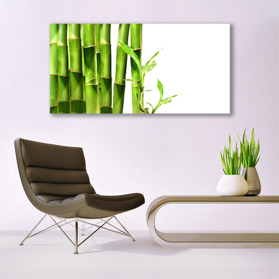 Canvas print Bamboo floral green white