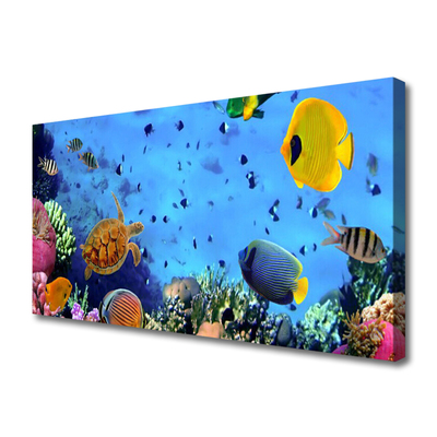 Canvas print Coral reef underwater fish nature blue yellow multi