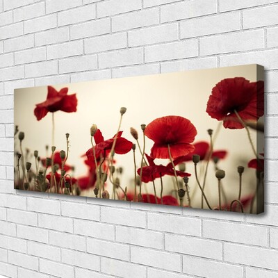 Canvas print Poppies floral red grey green