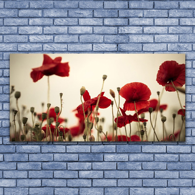 Canvas print Poppies floral red grey green