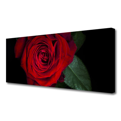 Canvas print Rose floral red green black