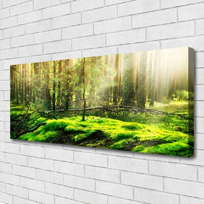 Canvas print Moss forest nature green