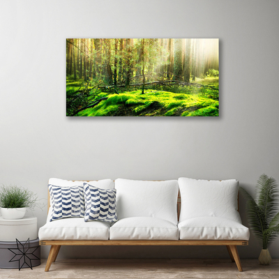 Canvas print Moss forest nature green