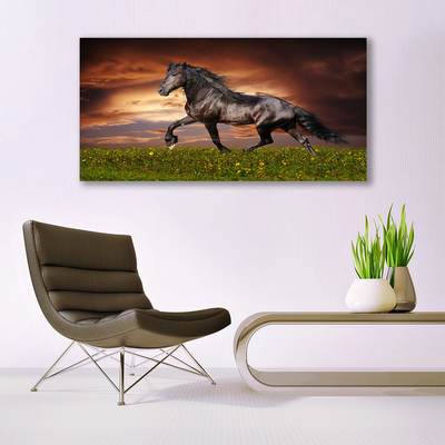 Canvas print Black horse meadow animals black green red