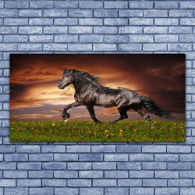 Canvas print Black horse meadow animals black green red