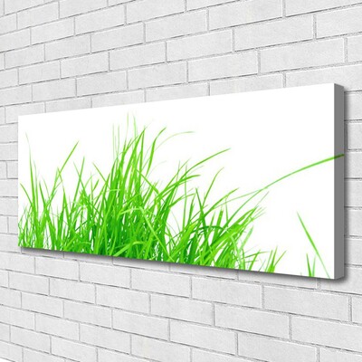 Canvas print Grass floral green white