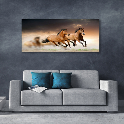 Canvas print Horses animals brown