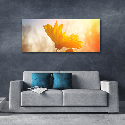 Canvas print Sunflower floral yellow