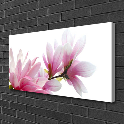 Canvas print Magnolia blossoms floral pink