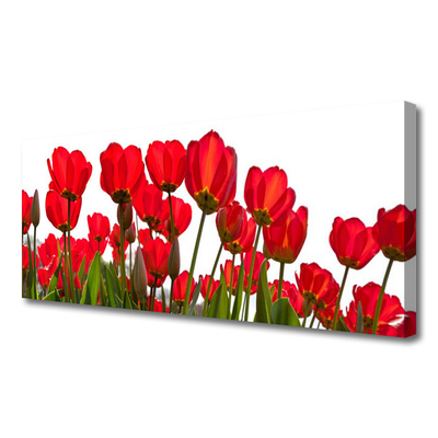 Canvas print Flowers floral red green white