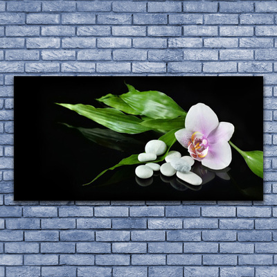Canvas print Flower stones leaves floral white pink green black