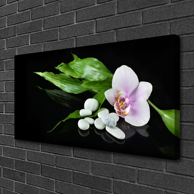 Canvas print Flower stones leaves floral white pink green black