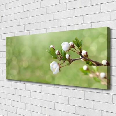 Canvas print Flowers floral green white