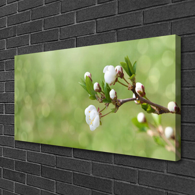 Canvas print Flowers floral green white