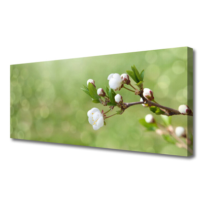 Canvas print Flowers floral green white