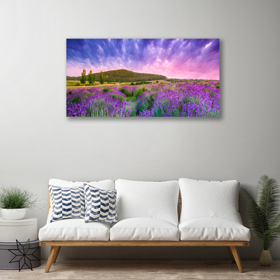 Canvas print Meadow flowers mountains nature green purple blue pink