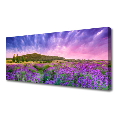 Canvas print Meadow flowers mountains nature green purple blue pink