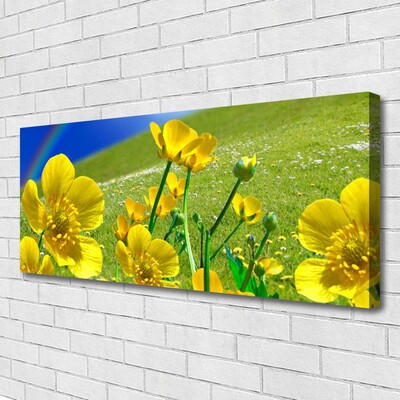 Canvas print Meadow flowers rainbow nature yellow blue green