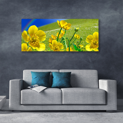 Canvas print Meadow flowers rainbow nature yellow blue green