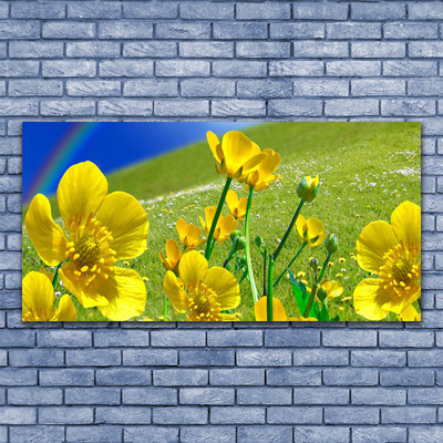 Canvas print Meadow flowers rainbow nature yellow blue green