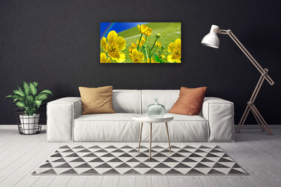 Canvas print Meadow flowers rainbow nature yellow blue green