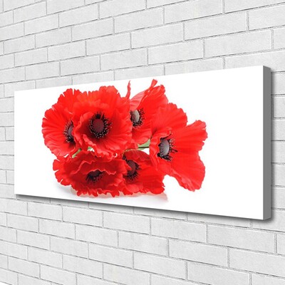 Canvas print Flowers floral red white