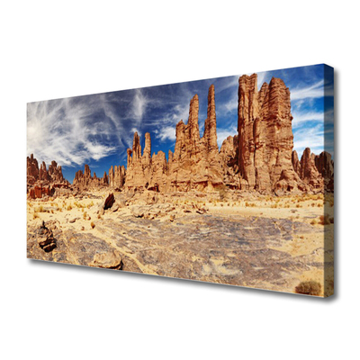 Canvas print Desert landscape brown white blue