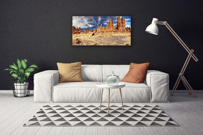 Canvas print Desert landscape brown white blue