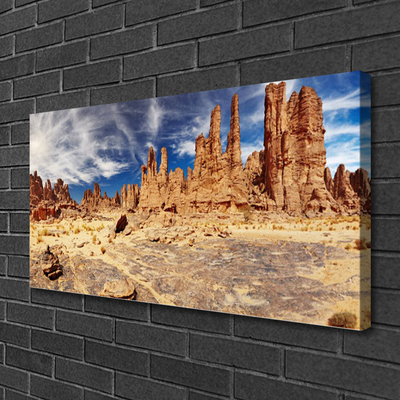 Canvas print Desert landscape brown white blue