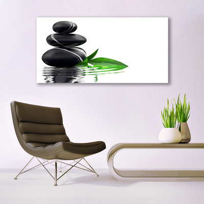 Canvas print Stones leaves water art black green white