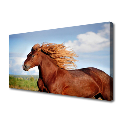 Canvas print Horse animals brown blue green