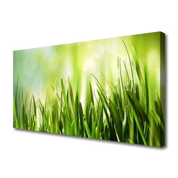 Canvas print Grass nature green