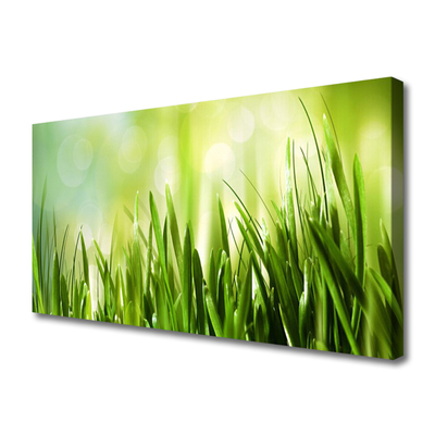 Canvas print Grass nature green