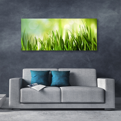 Canvas print Grass nature green