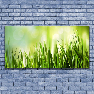 Canvas print Grass nature green