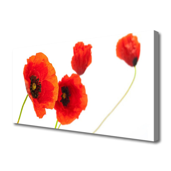 Canvas print Flowers floral red green