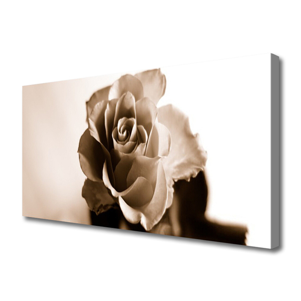Canvas print Rose floral sepia