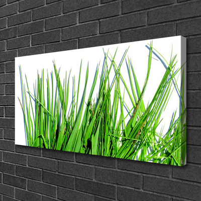 Canvas print Grass floral green