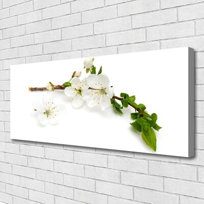 Canvas print Flower branch nature white brown green