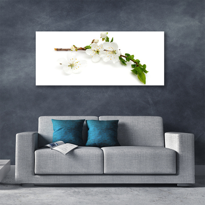 Canvas print Flower branch nature white brown green