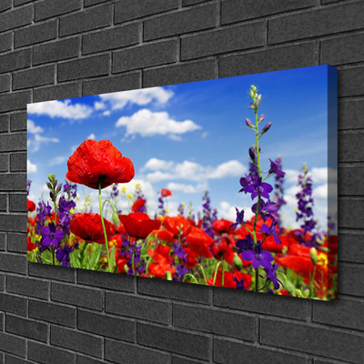 Canvas print Flowers nature red blue purple green