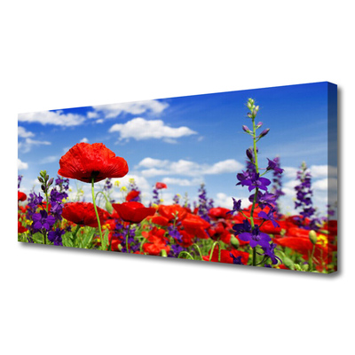 Canvas print Flowers nature red blue purple green