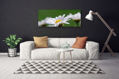 Canvas print Daisy floral white yellow green